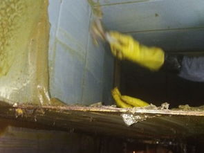 專(zhuān)業(yè)清洗油煙管道，天津保潔服務(wù)助力潔凈生活